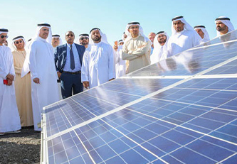 Renewable Energy Consultant