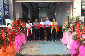 chinese inverter manufacturing company in 2016