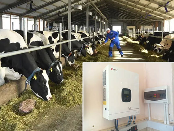 Is 8KW Hybrid Inverter the Best Choice for Kazakhstan Farm？